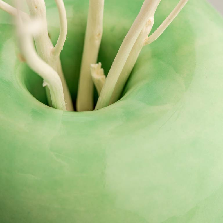 NATURE - Scented Diffuser