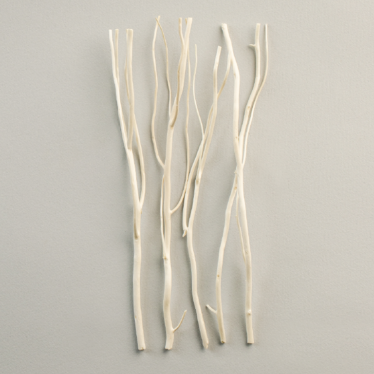 NATURE - Scented Diffuser